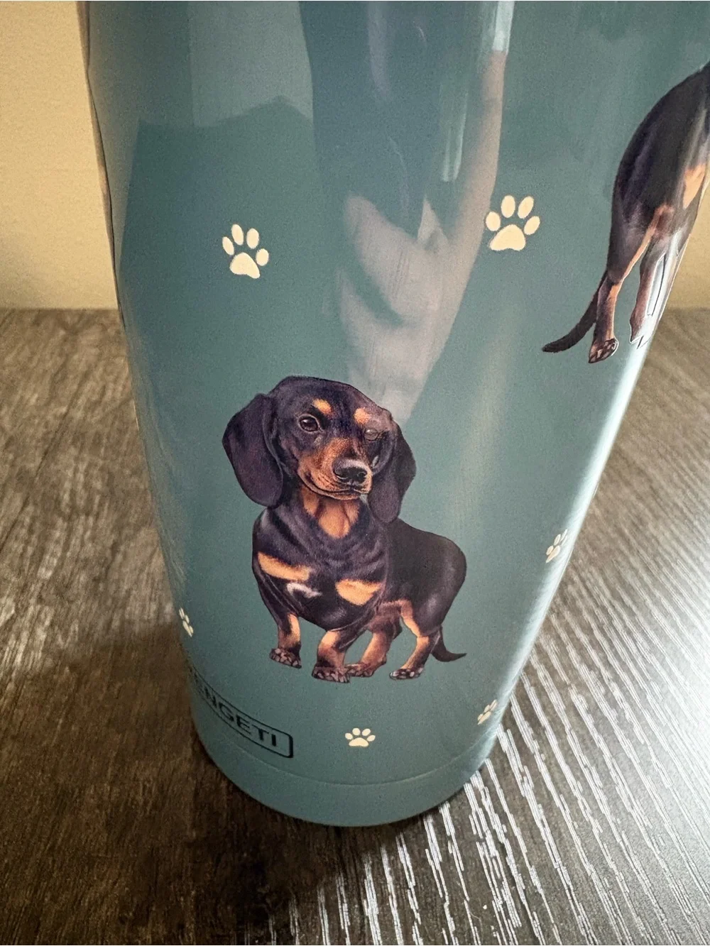 Dachshund Paw-Print Travel Tumbler — Teal Insulated Cup